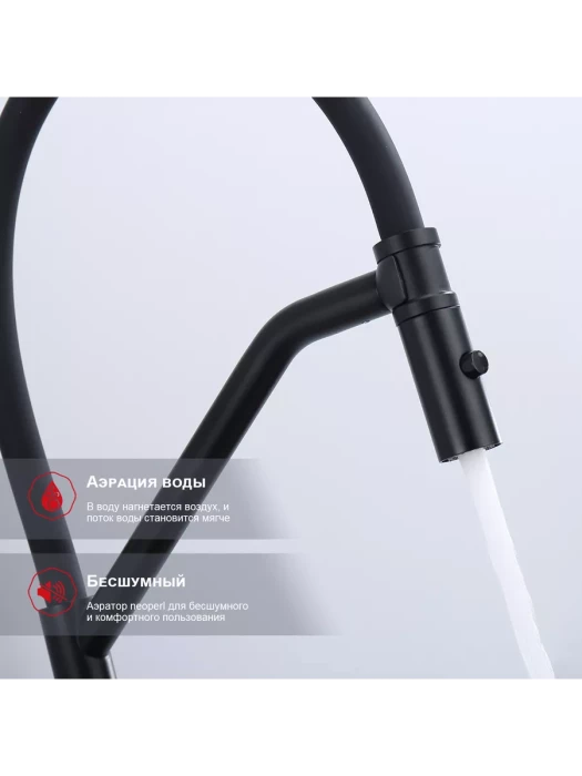 Смеситель Raglo R86.41.06, для кухни, со съемным изливом, черный