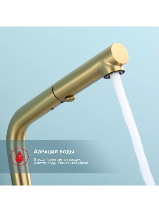 Смеситель для кухни R86.49.03, с выдвижным изливом, нержавеющая сталь, сатиновое золото