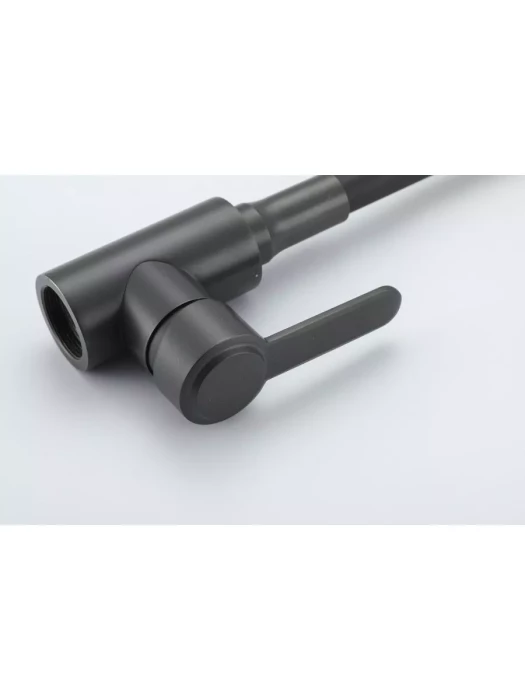 Смеситель для кухни с гибким изливом Frud R42052-39, гибкий, черный