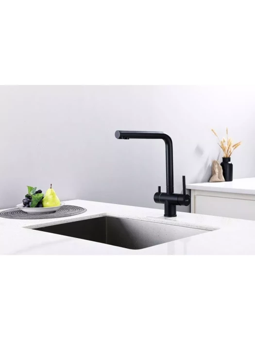 Смеситель для кухни Frap F43899-36, нержавеющая сталь, черный, поворотный излив