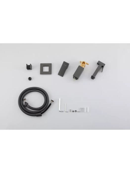 Смеситель Frap F7506-9 для биде, вертикальный, с гигиеническим душем, матовый