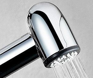 Смеситель для раковины с гигиенической лейкой Wasserkraft 4108